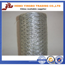 1/4 Chicken Wire PVC-beschichtete sechseckigen Drahtgeflecht